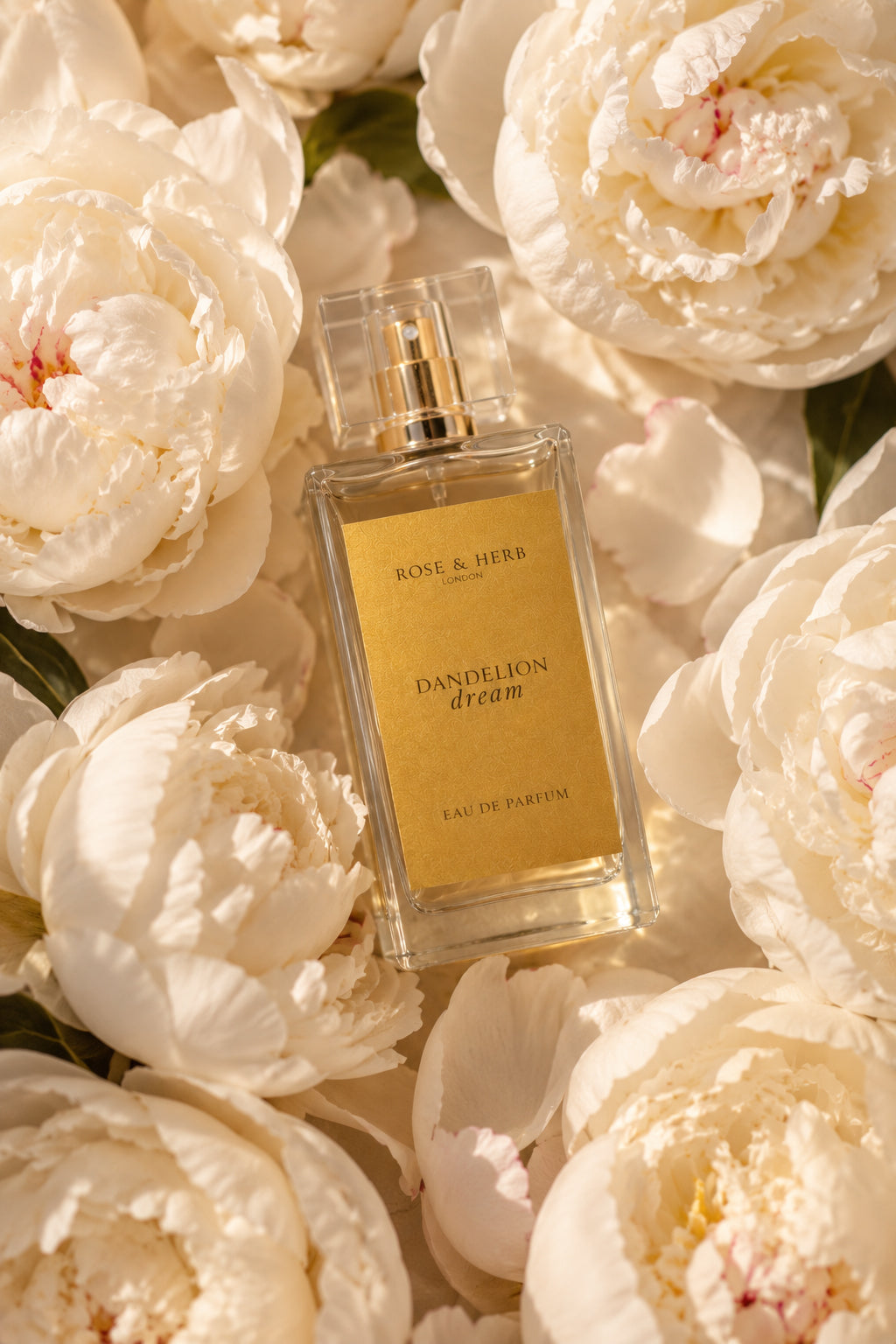 Dandelion Dream - Eau de Parfum