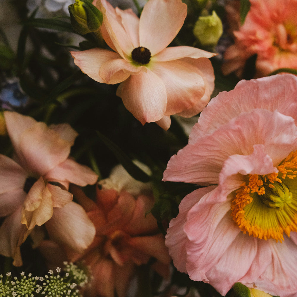 SOFT & FLORAL