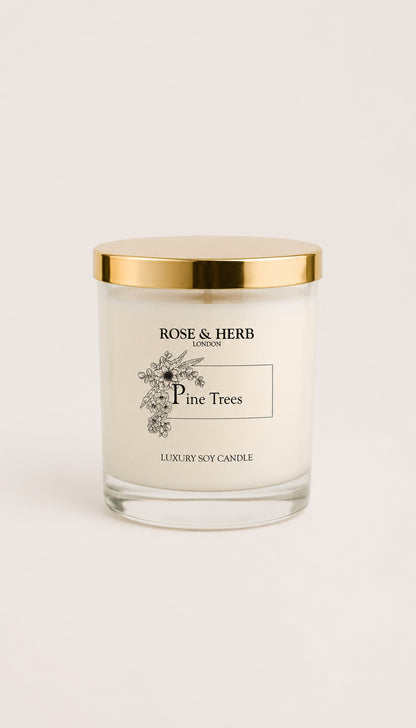 A Rose & Herb London 'Pine Trees' luxury soy candle in a clear glass jar with a shiny gold lid, set against a clean, light beige background.